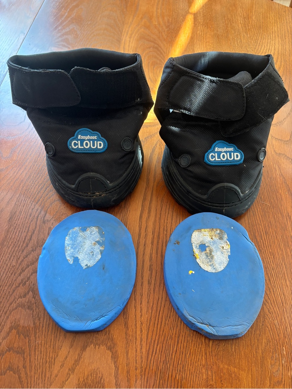 Black Pet Boots with Blue Insoles